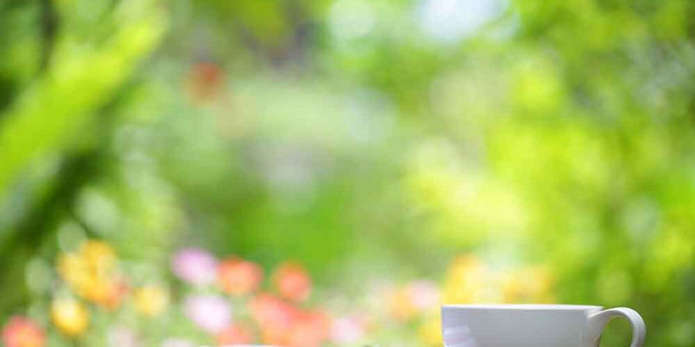 naturligt-lugn-vila naturligt lugn samtalsterapi