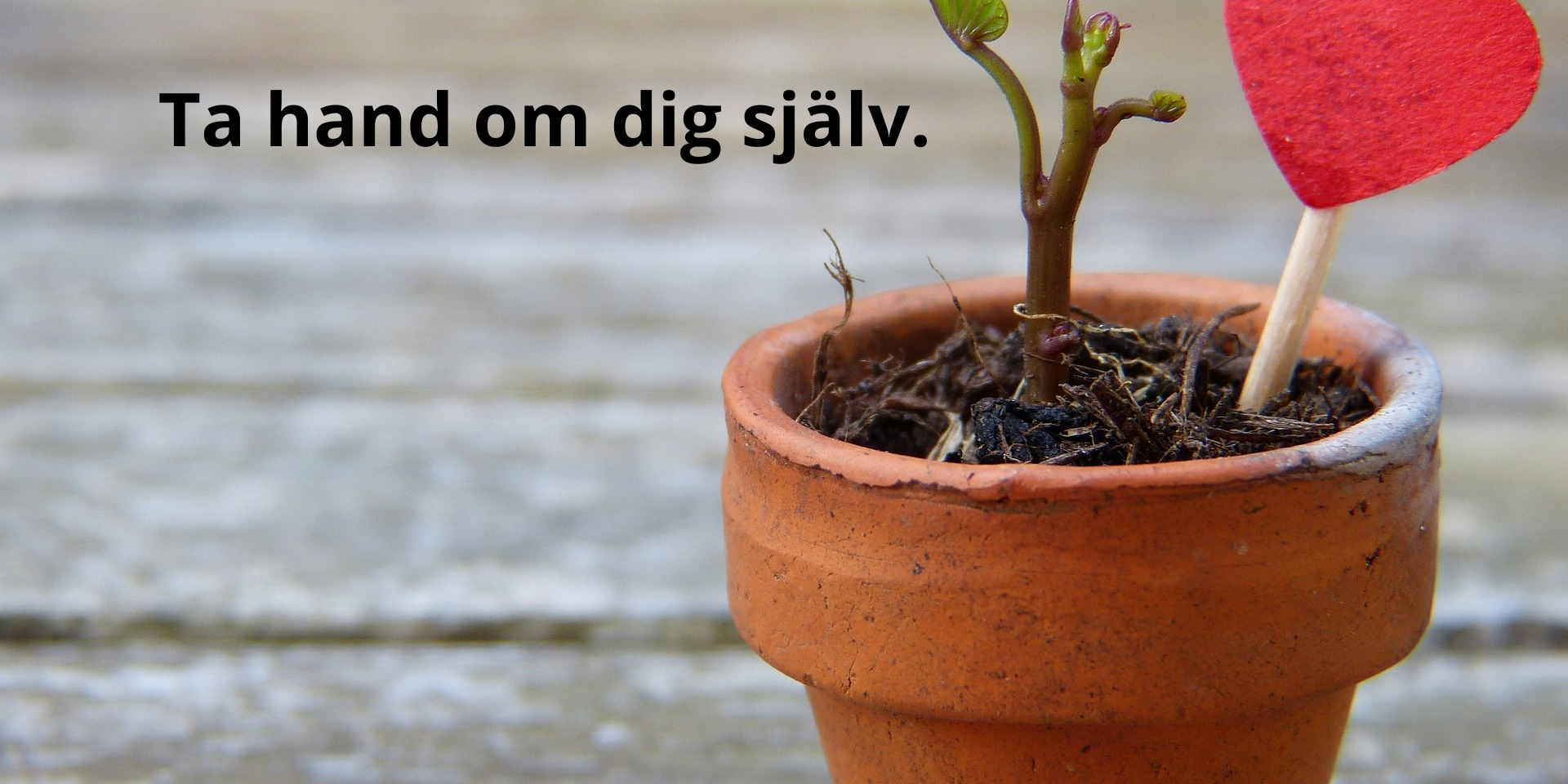 Lägg till en underrubrik (4)